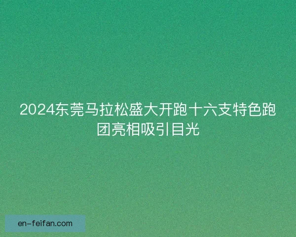 2024东莞马拉松盛大开跑十六支特色跑团亮相吸引目光