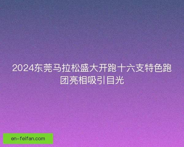 2024东莞马拉松盛大开跑十六支特色跑团亮相吸引目光