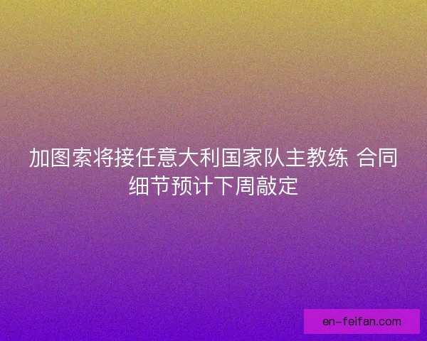 加图索将接任意大利国家队主教练 合同细节预计下周敲定